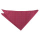 Colourful Polka Dot Pocket Square