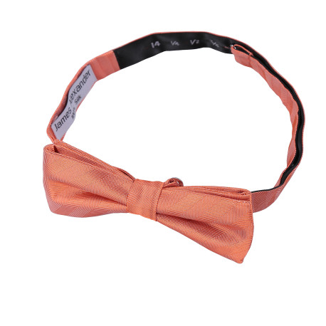 Herringbone Silk Batwing Pre-Tied Bow Tie