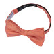 Herringbone Silk Thistle Pre-Tied Bow Tie