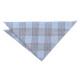 Madras Check Pocket Square