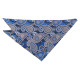 Paisley Bohemian Pocket Square