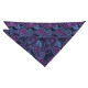 Paisley Bohemian Pocket Square