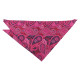 Paisley Bohemian Pocket Square