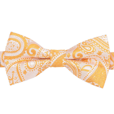 Paisley Bohemian Pre-Tied Bow Tie