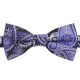 Paisley Bohemian Pre-Tied Bow Tie