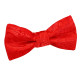 Paisley Pre-Tied Bow Tie – Boys