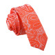 Paisley Skinny Tie