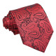 Paisley Tie