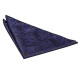 Paisley Pocket Square