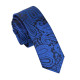 Paisley Skinny Tie