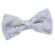 Passion Pre-Tied Bow Tie