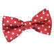 Polka Dot Classic Pre-Tied Bow Tie