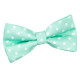 Polka Dot Classic Pre-Tied Bow Tie