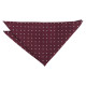 Polka Dot Pocket Square