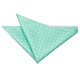 Polka Dot Classic Pocket Square