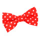 Polka Dot Classic Pre-Tied Bow Tie