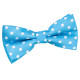 Polka Dot Classic Pre-Tied Bow Tie