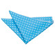 Polka Dot Classic Pocket Square