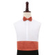 Plain Shantung Cummerbund