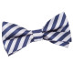 Thin Stripe Pre-Tied Bow Tie