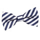 Thin Stripe Pre-Tied Bow Tie