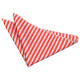 Thin Stripe Pocket Square