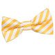 Thin Stripe Pre-Tied Bow Tie