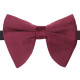 Velvet Butterfly Pre-Tied Bow Tie