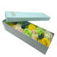 Long Box - Spring Celibrations - Yellow &amp; Greens