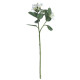 23inch Stephanotis Spray White &amp; Green