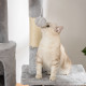 PawHut Floor to Ceiling Cat Tree for Indoor Cats, 240-260cm, Adjustable Height - Light Grey