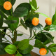 Set of 2 Artificial Plants, Lemon and Orange Tree with Pot, for Home Indoor Decor, 60cm