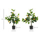 Set of 2 Artificial Plants, Lemon and Orange Tree with Pot, for Home Indoor Decor, 60cm