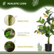 Set of 2 Artificial Plants, Lemon and Orange Tree with Pot, for Home Indoor Decor, 60cm