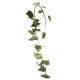 Squash Ivy Garland 6ft