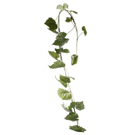 Squash Ivy Garland 6ft