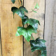 6ft English Ivy Garland