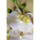 White Phalaenopsis Spray 34.5 inch