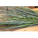 PVC Grass Bush 68cm