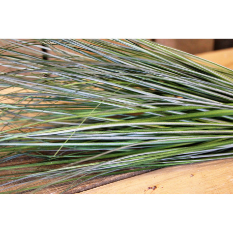 PVC Grass Bush 68cm