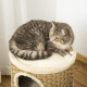 PawHut Cat Scratching Barrel Kitten Tree Tower for Indoor Cats Pet Furniture Climbing Frame Covered with Sisal and Seaweed Rope 