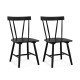 Set of 2 Windsor Chairs