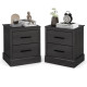 2 Drawer Nightstand with Storage Drawers