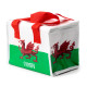 Wales Welsh Cymru RPET Cool Bag