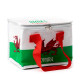 Wales Welsh Cymru RPET Cool Bag