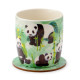 Porcelain Mug &amp; Coaster Set - Panda Kingdom