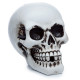 Backflow Incense Burner - Skull