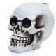 Backflow Incense Burner - Skull