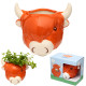 Decorative Ceramic Indoor Wall Planter/Plant Pot - Highland Coo Cow