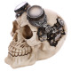 Gothic Skull Decoration - Steampunk with Goggles